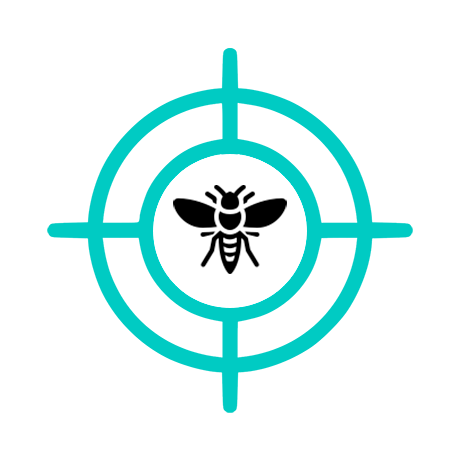 Уничтожение шершней
